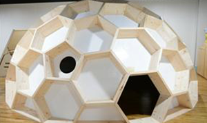 골드버그다면체